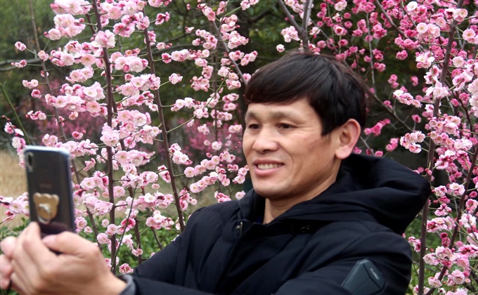 淮北楊柳煤業公司梅開盛世笑開顏