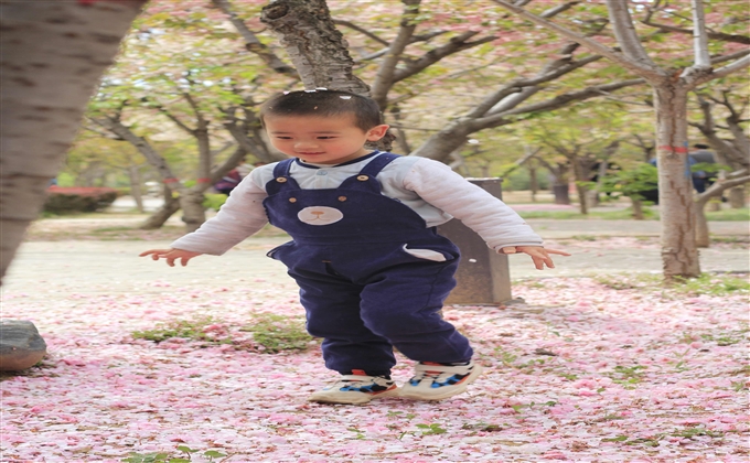 漫步花海-苟肖偉