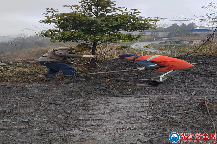 川南煤業公司魯班山北礦開展防風固沙植樹活動